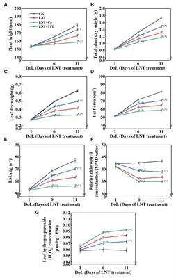 Exogenous Calcium Alleviates Nocturnal Chilling-Induced Feedback Inhibition of Photosynthesis by Improving Sink Demand in Peanut (Arachis hypogaea)